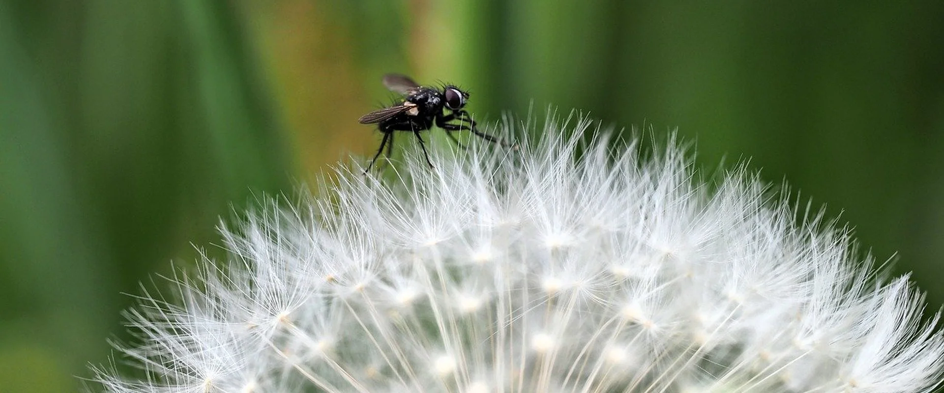 足球投注PG电子